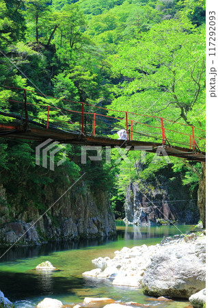 【広島県】万緑の三段峡（黒淵） 117292093