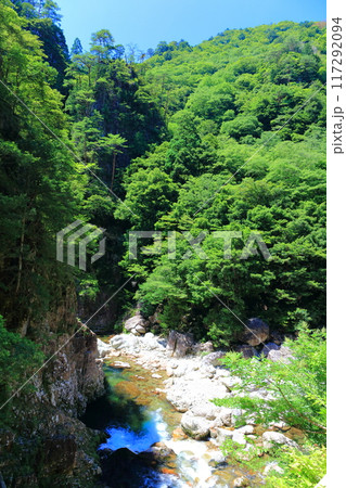【広島県】万緑の三段峡（黒淵） 117292094