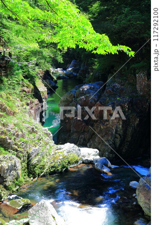 【広島県】万緑の三段峡(石樋) 【広島県】万緑の三段峡(石樋) 117292100
