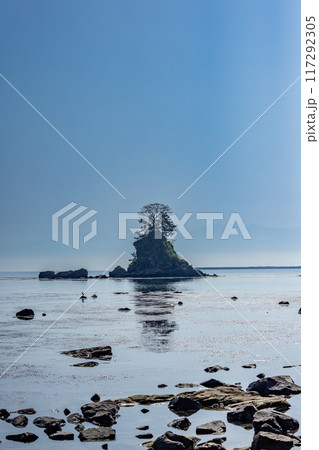 雨晴海岸 117292305