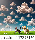 犬と青空と雲 117292450