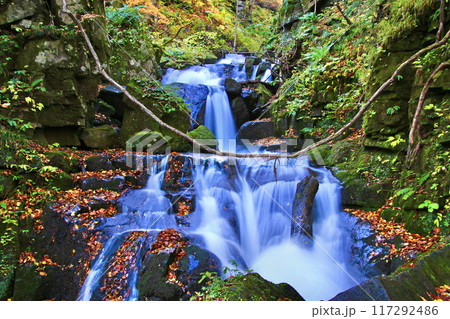 秋の奥入瀬渓流（青森県・十和田市） 117292486