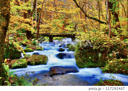 秋の奥入瀬渓流（青森県・十和田市） 117292487
