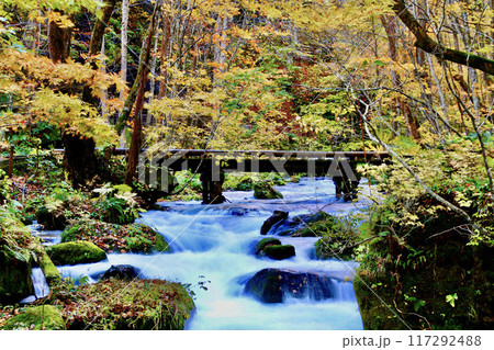 秋の奥入瀬渓流（青森県・十和田市） 117292488