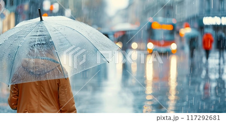 Person holding transparent umbrella while walking in rainy city street on a gloomy day 117292681