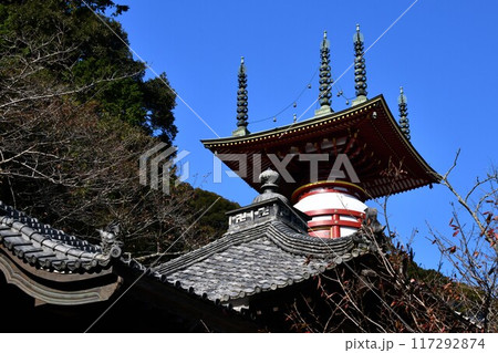 徳島薬王寺 徳島薬王寺 117292874