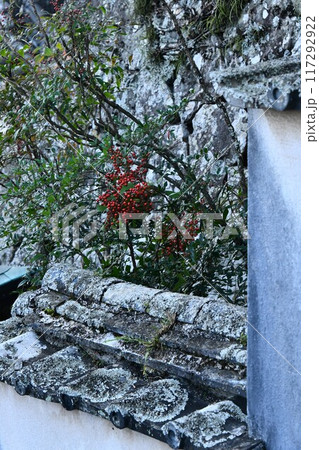 徳島薬王寺 117292922