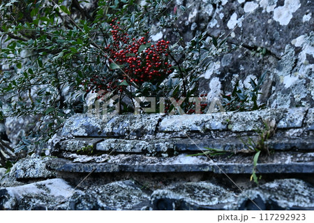 徳島薬王寺 117292923