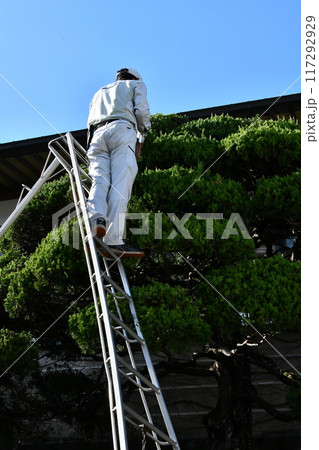 徳島薬王寺 117292929