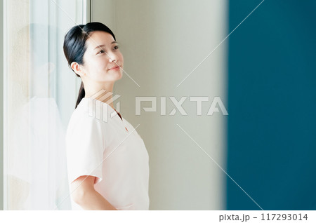 看護師の若い女性 117293014