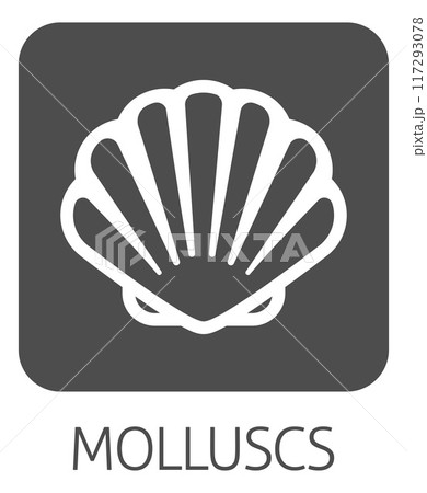 Seashell Shell Clam Mollusc Seafood Food Icon 117293078