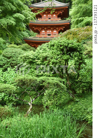 三重塔と阿字池　岩船寺　京都府木津川市 117293121