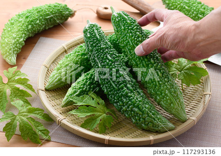 夏野菜 ゴーヤ (にがうり) 夏野菜 ゴーヤ (にがうり) 117293136