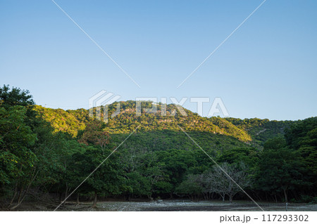 日本の岡山県瀬戸内市の迫門の曙の美しい朝の風景 117293302