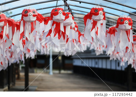 柳井  金魚ちょうちん祭り2497 117293442
