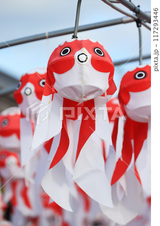 柳井 金魚ちょうちん祭り2516 柳井 金魚ちょうちん祭り2516 117293446