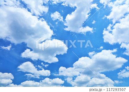 夏の青空と雲 117293507