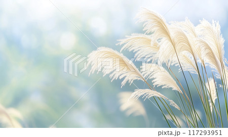 風に揺れるススキ 117293951
