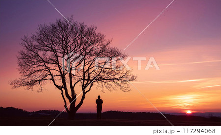 沈む太陽と木と人のシルエット 沈む太陽と木と人のシルエット 117294068