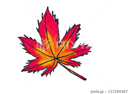 手描きの水彩画(絵手紙)「紅葉した紅葉」 手描きの水彩画(絵手紙)「紅葉した紅葉」 117294367