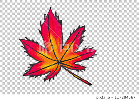 手描きの水彩画(絵手紙)「紅葉した紅葉」 手描きの水彩画(絵手紙)「紅葉した紅葉」 117294367
