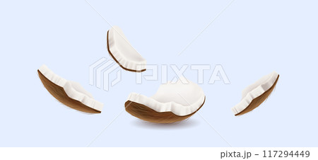 Coconut pieces floating realistic vector illustration 117294449
