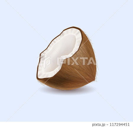 Tasty cracked coconut half realistic vector illustration 117294451