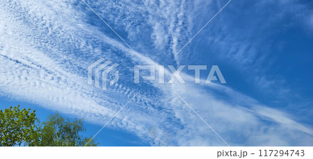 Fluffy white clouds and blue sky over the park on a beautiful clear day Fluffy white clouds and blue sky over the park on a beautiful clear day 117294743