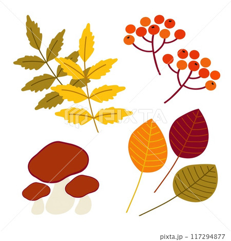 Colorful autumn leaves, bright red berries, and mushrooms create a vibrant display reflecting the essence of fall. 117294877