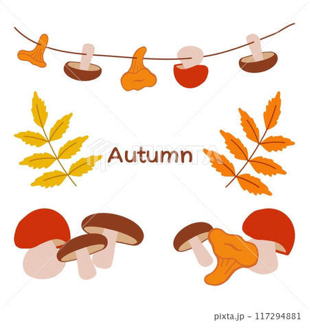 A collection of various mushrooms and autumn leaves arranged creatively, emphasizing seasonal colors and themes. A collection of various mushrooms and autumn leaves arranged creatively, emphasizing seasonal colors and themes. 117294881