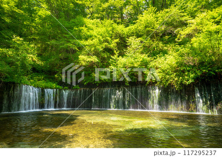 長野県軽井沢町の白糸の滝 117295237