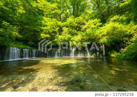 長野県軽井沢町の白糸の滝 117295238