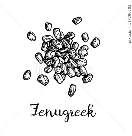 Fenugreek seeds ink sketch of spice. Fenugreek seeds ink sketch of spice. 117296202