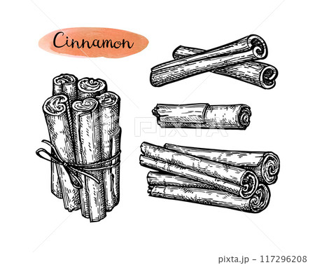 Cinnamon ink sketch set 117296208
