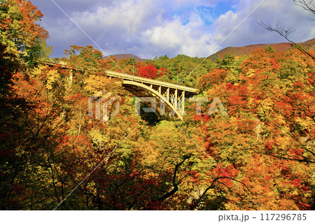 秋の鳴子峡（宮城県・大崎市） 117296785