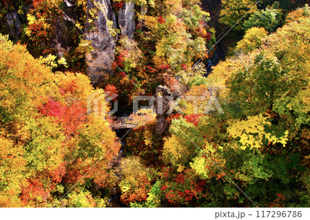 秋の鳴子峡(宮城県・大崎市) 秋の鳴子峡(宮城県・大崎市) 117296786