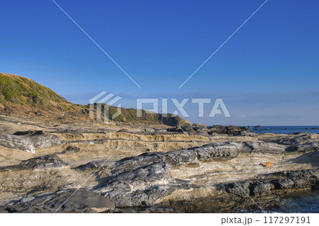 【神奈川県】城ヶ島の風景 117297191