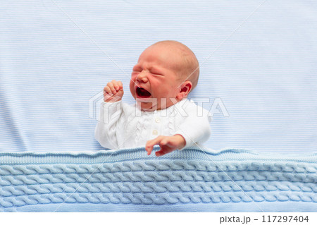 Newborn baby boy on a blue blanket Newborn baby boy on a blue blanket 117297404