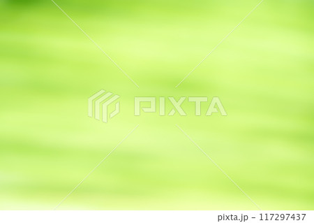 グリーン系アンイーブンバックグラウンド 117297437