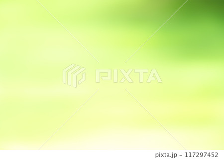 グリーン系アンイーブンバックグラウンド グリーン系アンイーブンバックグラウンド 117297452