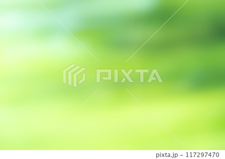 グリーン系アンイーブンバックグラウンド 117297470