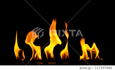 Small Solo Fire Isolated on Black Background. 117297980
