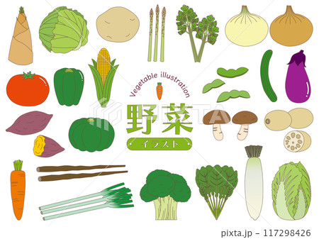 色々な野菜のイラストのセット_主線あり 色々な野菜のイラストのセット_主線あり 117298426