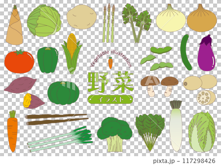色々な野菜のイラストのセット_主線あり 色々な野菜のイラストのセット_主線あり 117298426