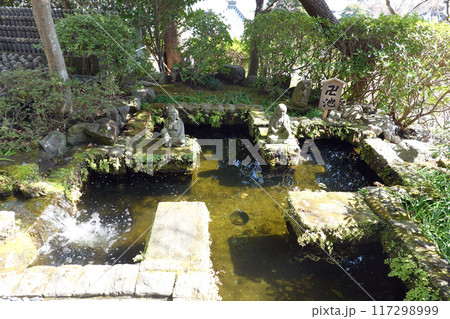 鎌倉 長谷寺の卍池 117298999