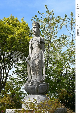 布施観音像（千葉県あけぼの山農業公園布施弁天） 117299177