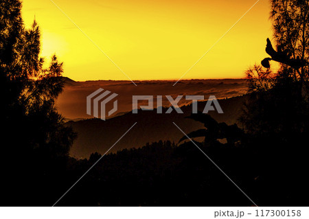 The atmosphere before sunrise on one of the hills near Bromo as seen from among the trees and bushes. The atmosphere before sunrise on one of the hills near Bromo as seen from among the trees and bushes. 117300158