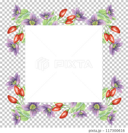 Red goji berries, lilac flowers and green leaves square frame design. Hand-drawn watercolor illustration for DIY printing, greeting card making, quote, gift tag, label, postcard, flyer template Red goji berries, lilac flowers and green leaves square frame design. Hand-drawn watercolor illustration for DIY printing, greeting card making, quote, gift tag, label, postcard, flyer template 117300616