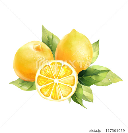 Lemons with leaves, isolated on white background. Hand drawn illustration in watercolor style 117301039
