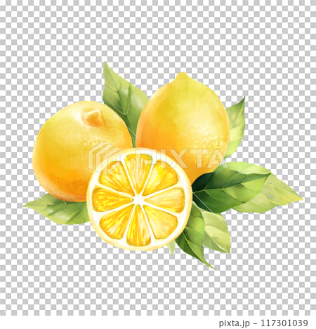 Lemons with leaves, isolated on white background. Hand drawn illustration in watercolor style 117301039